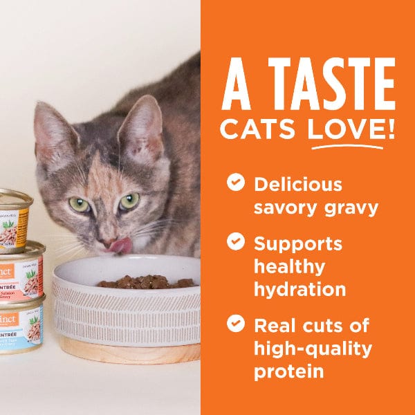 Instinct Flaked Chicken Entrée Canned Cat Food (SPECIAL ORDER ITEM) - Image 3