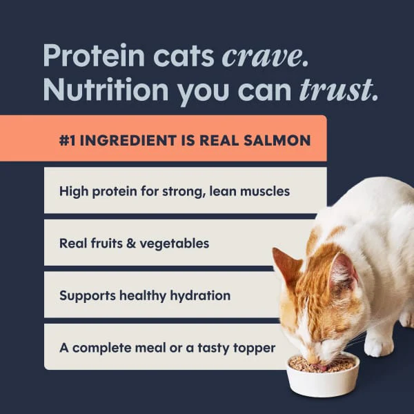 Instinct Original Real Salmon Recipe Canned Cat Food - Image 10