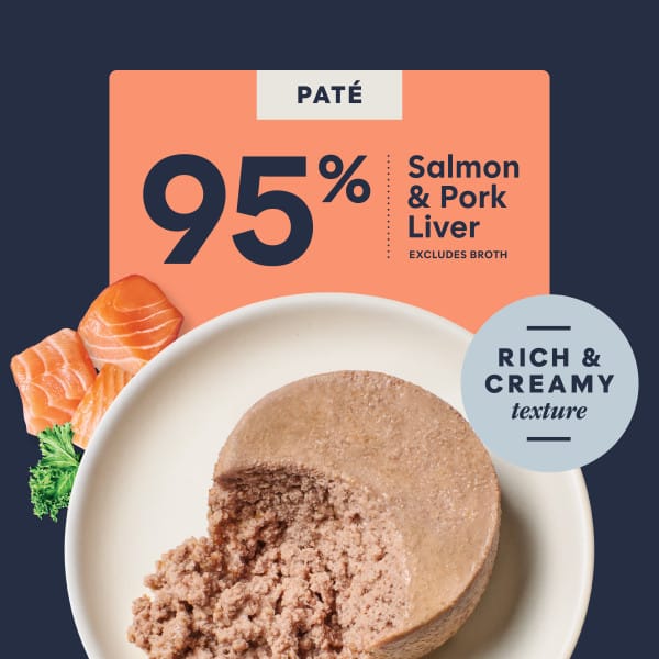 Instinct Original Real Salmon Recipe Canned Cat Food - Image 8