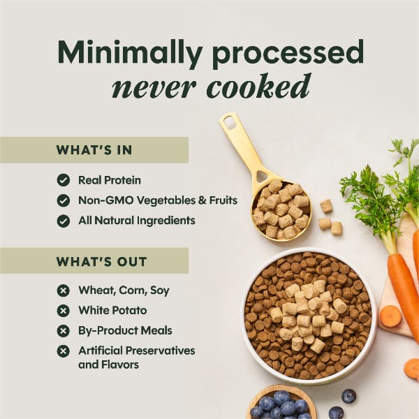 Instinct Raw Boost Mixers Cage-Free Chicken Recipe Dog Food Topper, 6oz - Image 6