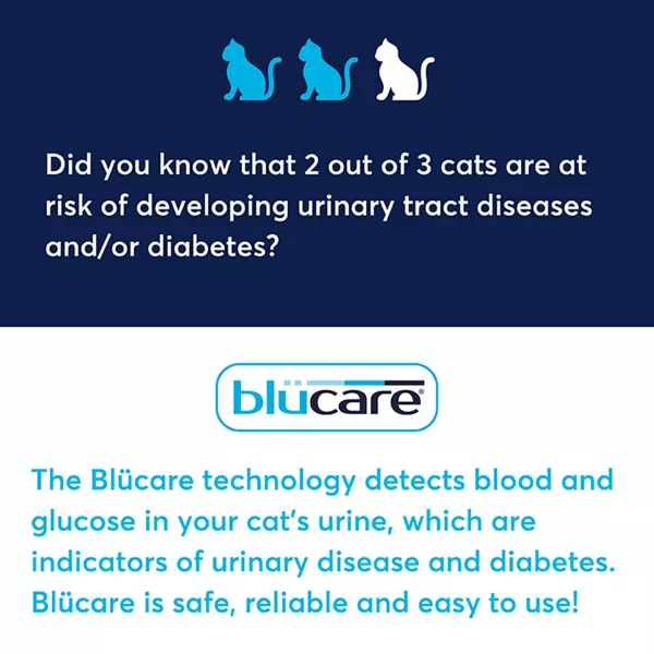 Intersand OdourLock maxCare Cat Litter - Image 2