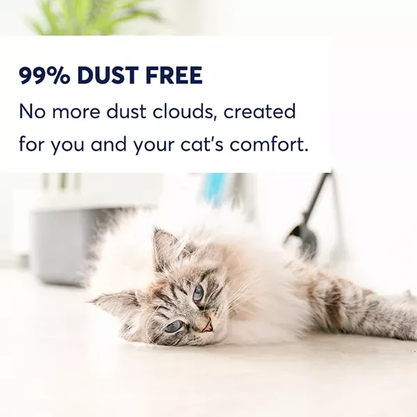 Intersand OdourLock maxCare Cat Litter - Image 6