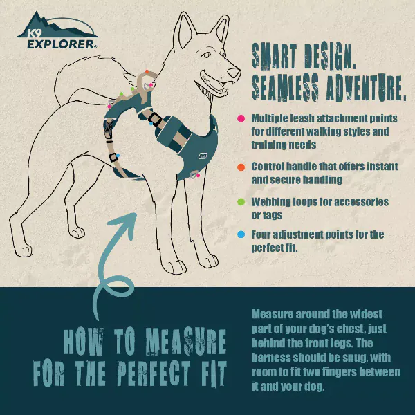 K9 Explorer Trek Full-Coverage Dog Harness - Image 3