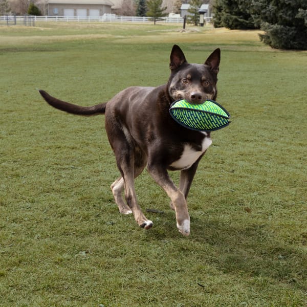 KONG Armor Football Dog Toy - Image 2