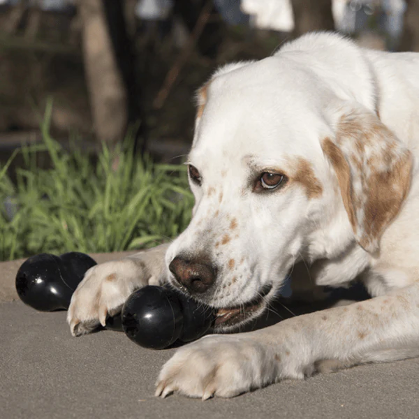 KONG Extreme Goodie Bone Dog Toy - Image 9
