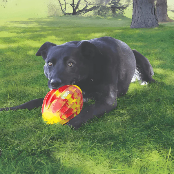 KONG Flexball Sport Football Dog Toy - Image 6