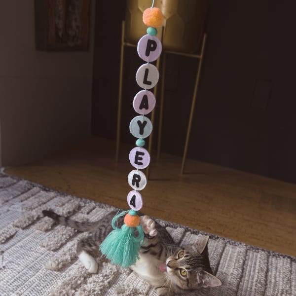 KONG Friendship Teaser Cat Toy - Image 2