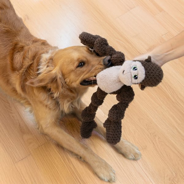 KONG Knots Monkey Dog Toy - Image 2