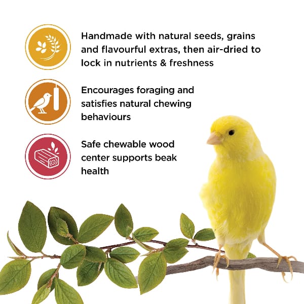 Living World Canary Treat Sticks - Variety Pack - Image 3