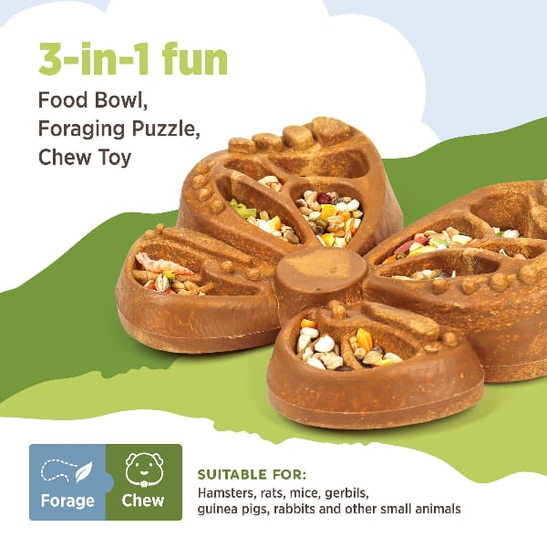 Living World Edible Butterfly Feeder - Image 2