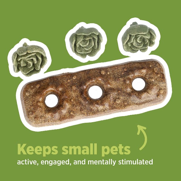 Living World Edible Cabbages Chew Toy - Image 4