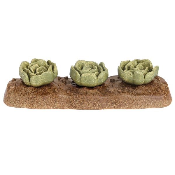 Living World Edible Cabbages Chew Toy - Image 6