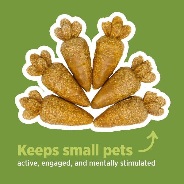 Living World Edible Carrots Chew Toy - Image 2