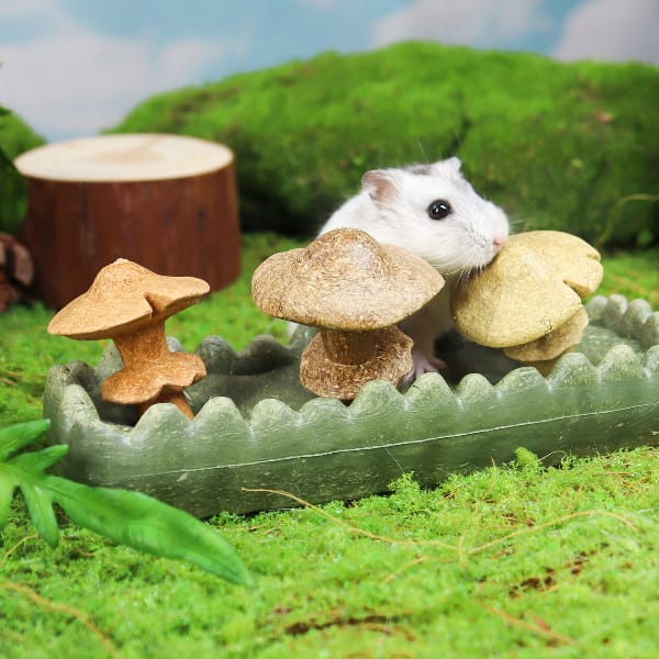 Living World Edible Mushrooms Chew Toy - Image 2