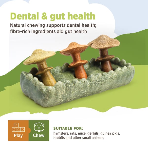 Living World Edible Mushrooms Chew Toy - Image 3