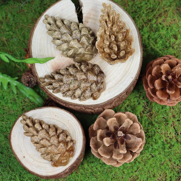 Living World Edible Pine Cones Chew Toy - Image 2