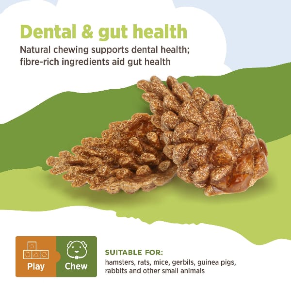 Living World Edible Pine Cones Chew Toy - Image 3