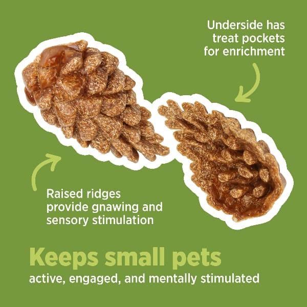 Living World Edible Pine Cones Chew Toy - Image 4