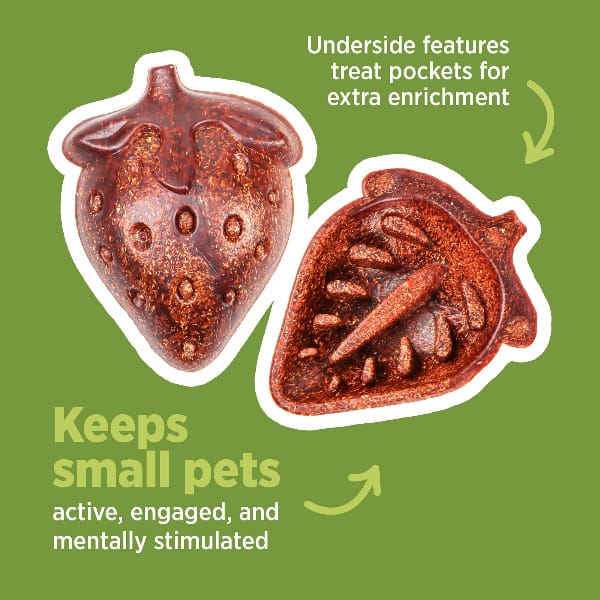 Living World Edible Strawberries Chew Toy - Image 2