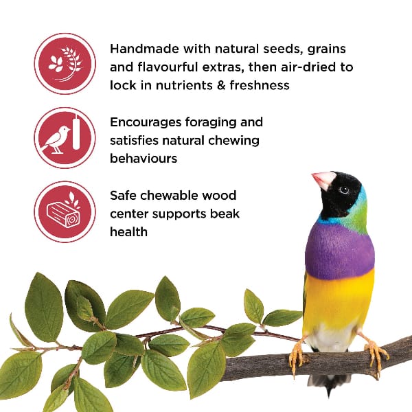 Living World Finch Treat Sticks - Fruit Melody - Image 2