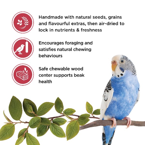 Living World Budgie Treat Sticks - Fruit Melody - Image 3