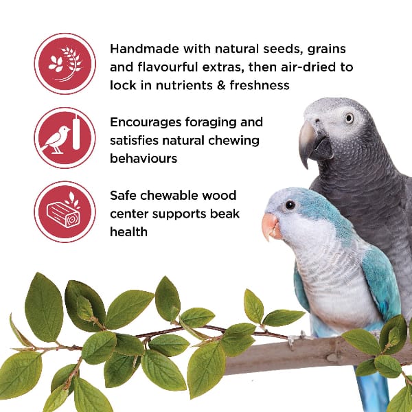 Living World Parrot Treat Sticks - Fruit Melody - Image 3
