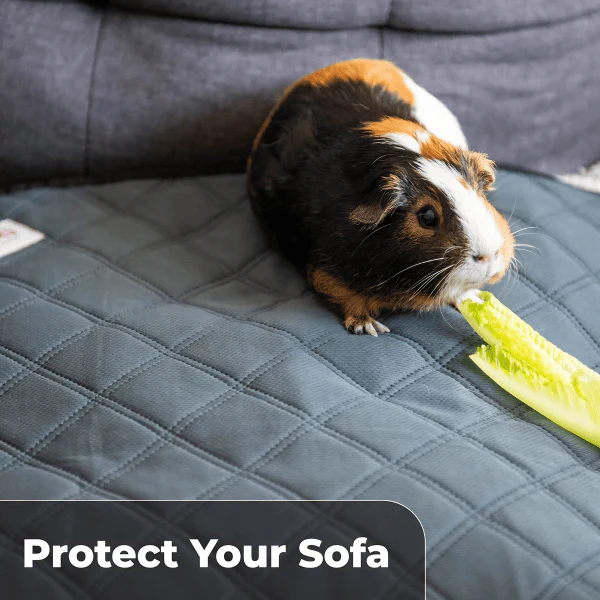 LuftPets Washable Cage Liners - Image 4