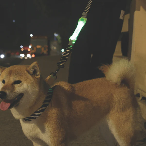 M-PETS FLASH LED Band - Image 6