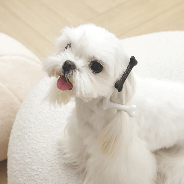M-PETS GLAM Hair Accessories for Pets | Bone Shape Clip - Image 3