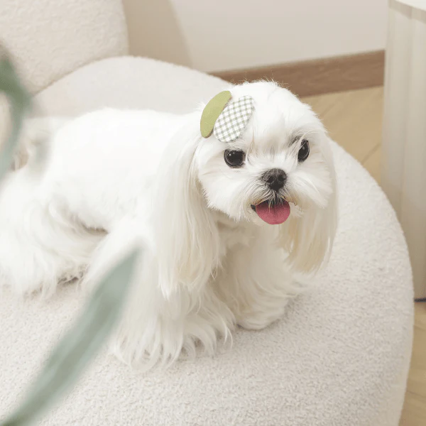 M-PETS GLAM Hair Accessories for Pets Clip - Image 9