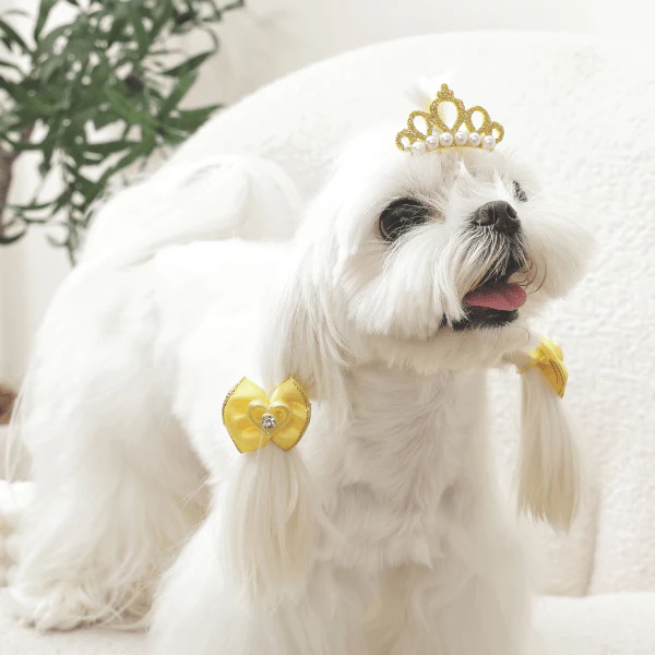 M-PETS GLAM Hair Accessories for Pets Clip & Rubber - Image 10