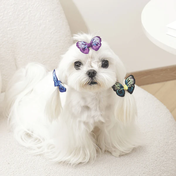 M-PETS GLAM Hair Accessories for Pets Rubber Band | Butterflies - Image 5