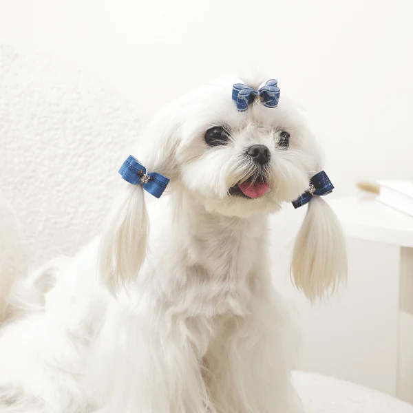 M-PETS GLAM Hair Accessories for Pets Rubber Band | Red & Blue - Image 10