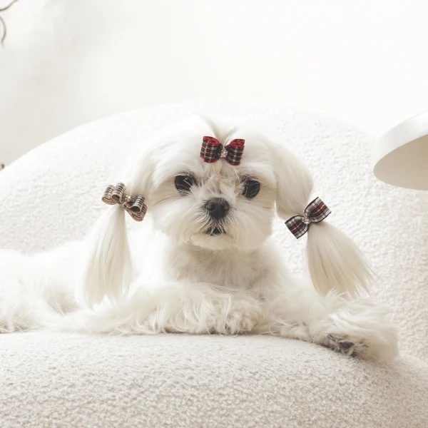 M-PETS GLAM Hair Accessories for Pets Rubber Band | Red & Blue - Image 5