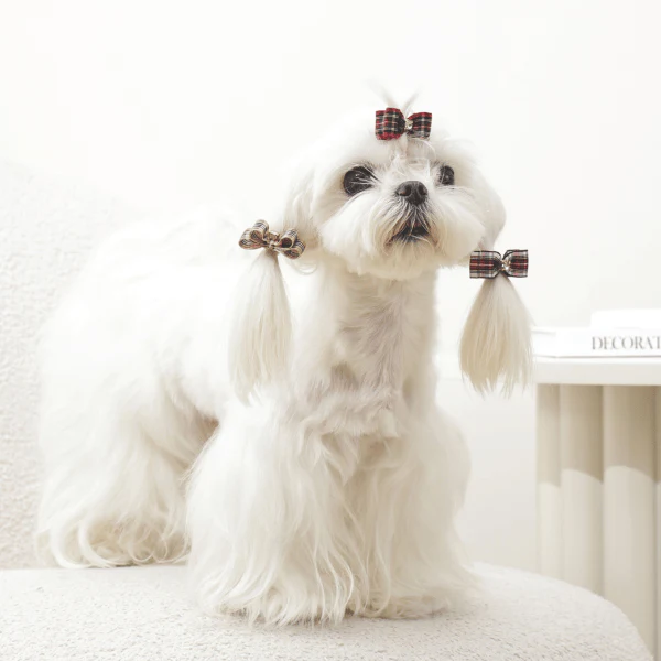 M-PETS GLAM Hair Accessories for Pets Rubber Band | Red & Blue - Image 7