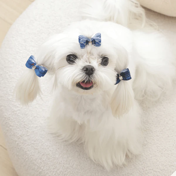 M-PETS GLAM Hair Accessories for Pets Rubber Band | Red & Blue - Image 8
