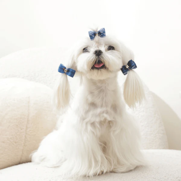 M-PETS GLAM Hair Accessories for Pets Rubber Band | Red & Blue - Image 9