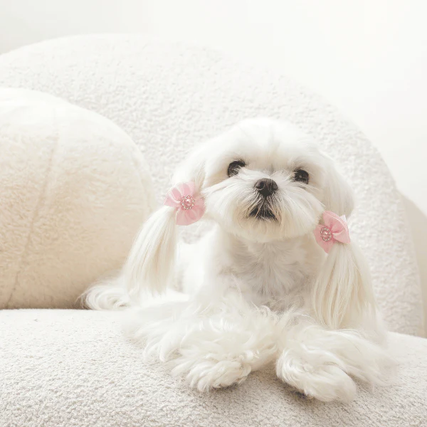M-PETS GLAM Hair Accessories for Pets Rubber Band with Pearl - Image 5