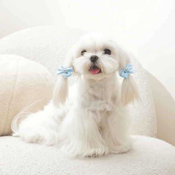 M-PETS GLAM Hair Accessories for Pets Rubber Band with Pearl - Image 9
