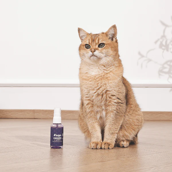 M-PETS Keep Calm | Calming Pheromone Spray for Cats - Image 4
