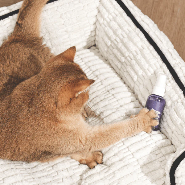 M-PETS Keep Calm | Calming Pheromone Spray for Cats - Image 6