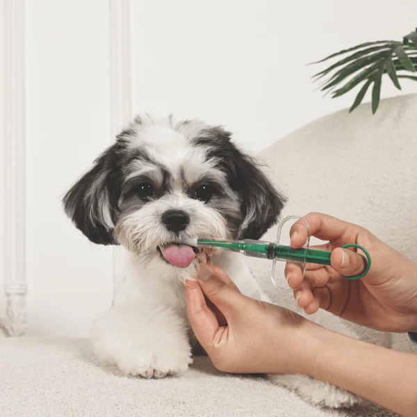 M-PETS Pro Care Medicine Feeder - Image 3