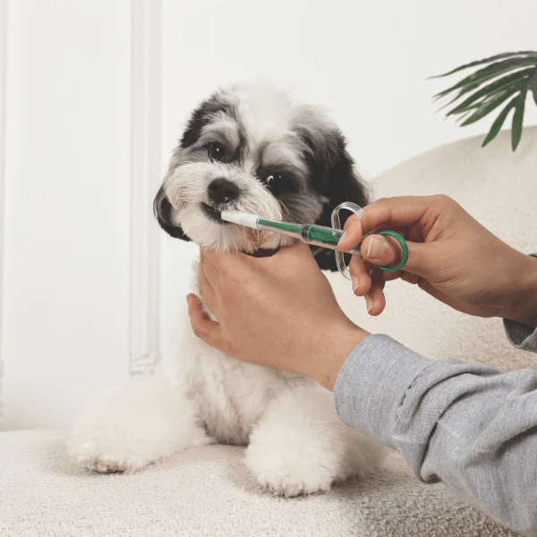 M-PETS Pro Care Medicine Feeder - Image 4