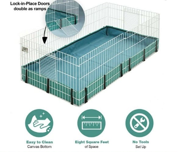 MidWest Guinea Habitat - Image 2