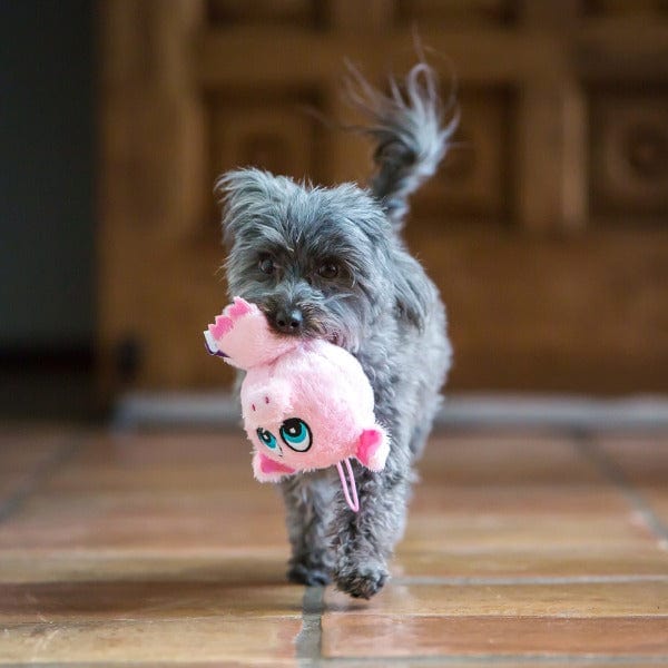 Multipet Knobby Noggins Assorted Dog Toy - Image 2