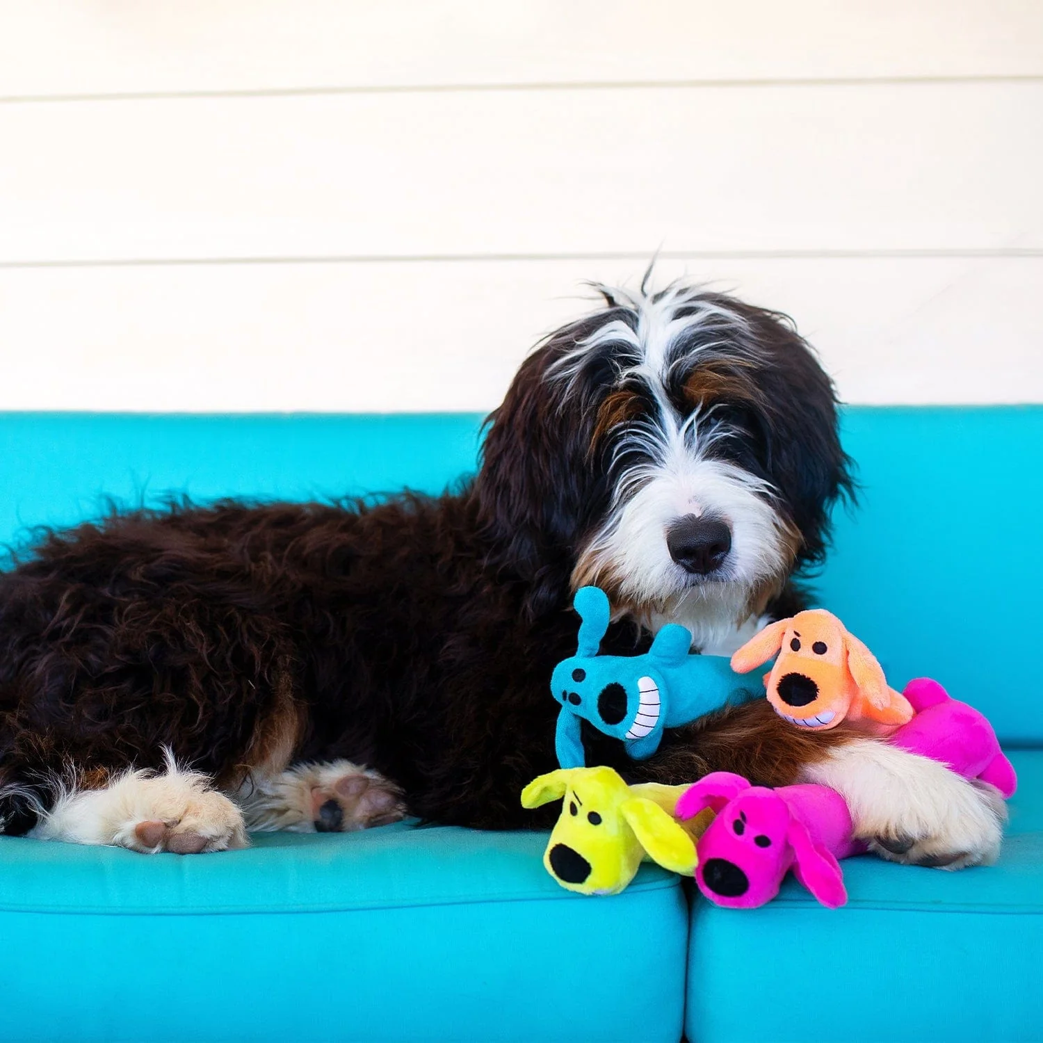 Multipet Loofa Assorted Plush Dog Toy - Image 7