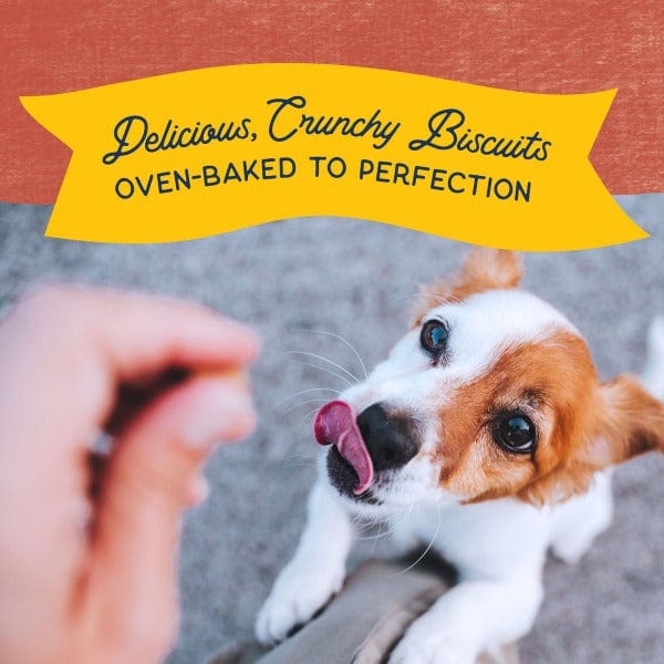 Natural Balance Crunchy Biscuits With Real Salmon Small Breed Recipe, 8oz - Image 4