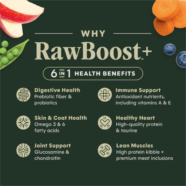 Instinct Raw Boost Real Chicken Recipe Dry Dog Food, 20lb - Image 4