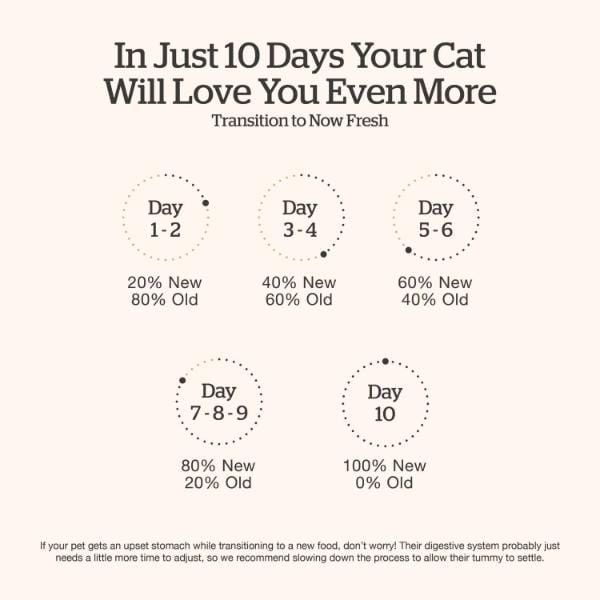 Now Fresh Good Gravy Chicken Recipe Adult Dry Cat Food - Image 7
