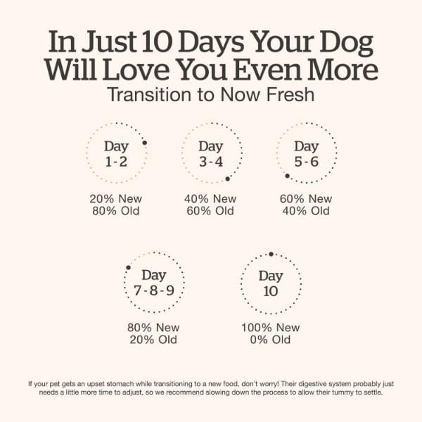 Now Fresh Shredded Chicken & Broth Grain-Free Wet Small Breed Dog Food - Image 5